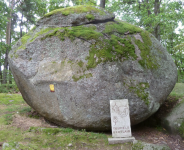 Naturpark Blockheide II